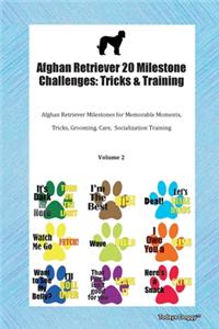 Afghan Retriever 20 Milestone Challenges