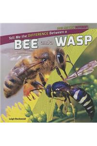 Tell Me the Difference Between a Bee and a Wasp