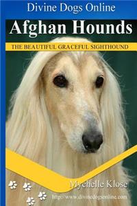 Afghan Hounds