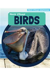 Really Strange Birds