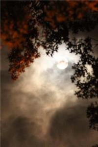 A Beautiful Tree Glowing in the Light of a Full Moon in Autumn Journal