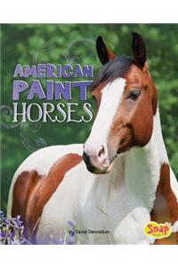 American Paint Horses