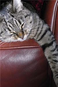 A Napping Gray and Black Striped Tabby Cat Journal