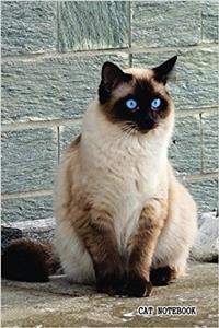 Cat Notebook