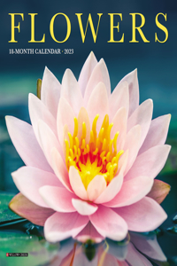 Flowers 2023 Mini Wall Calendar