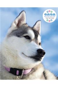 2020 Siberian Husky Dog Planner - Weekly - Daily - Monthly