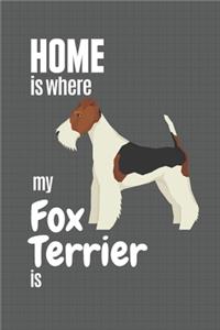 Home is where my Fox Terrier is