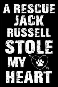 A Rescue Jack Russell Stole My Heart