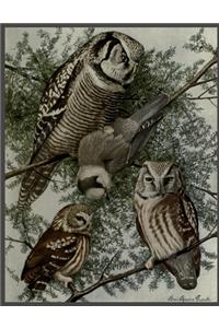 Owl Ephemera Weekly Planner
