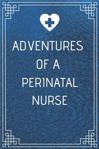 Adventures of A Perinatal Nurse