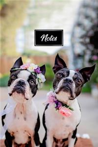 Boston Terrier Dog Pup Puppy Doggie Notebook Bullet Journal Diary Composition Book Notepad - Sweet Couple