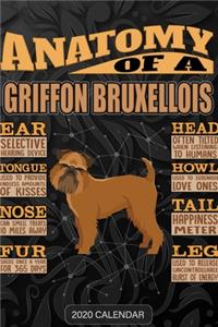 Anatomy Of A Griffon Bruxellois