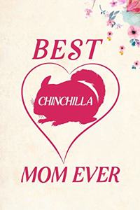 Best Chinchilla Mom Ever