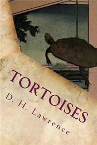 Tortoises