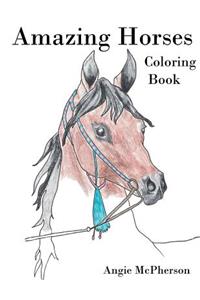 Amazing Horses