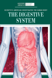 Digestive System