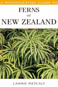 A Photographic Guide to Ferns of New Zealand