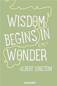 Wisdom Begins in Wonder - Albert Einstein