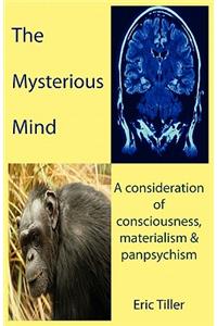 Mysterious Mind