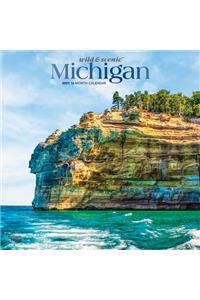 Michigan Wild & Scenic 2021 Square Foil