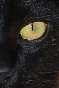Black Cat Notebook