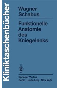 Funktionelle Anatomie Des Kniegelenks