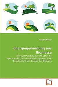 Energiegewinnung aus Biomasse