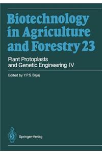 Plant Protoplasts and Genetic Engineering IV