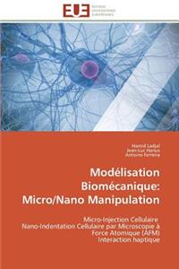 Modélisation Biomécanique