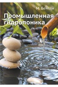 Промышленная гидропоника