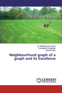 Neighbourhood graph of a graph and its Excellence