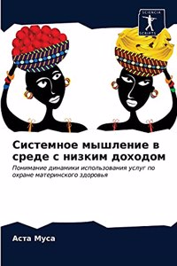 Системное мышление в среде с низким доходl