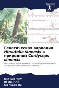 Генетическая вариация Hirsutella sinensis в природном Cordyceps sine