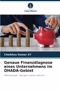 Genaue Finanzdiagnose eines Unternehmens im OHADA-Gebiet