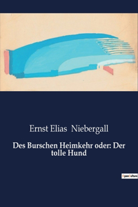 Des Burschen Heimkehr oder