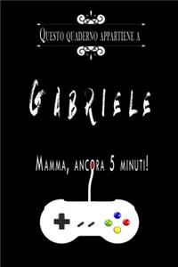 Questo quaderno appartiene a Gabriele