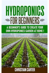 Hydroponics for beginners