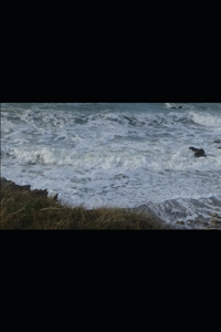 Restauranger I Närheten AV Administration Inn and Hotel Palaud