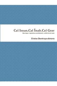 Cel Imun.Cel Înalt.Cel Grav-Eseu despre răspunderea constituțională a șefului de stat român