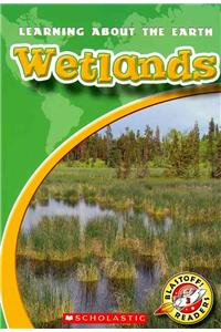 Wetlands