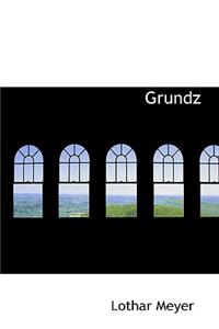 Grundzuge Der Theoretischen Chemie Von Lothar Meyer
