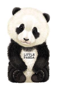 Little Panda