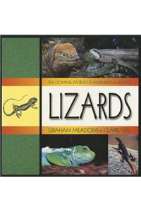 Lizards