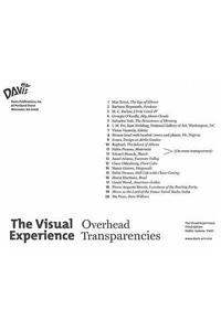 Visual Experience