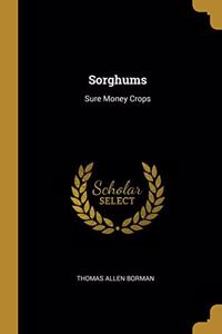 Sorghums