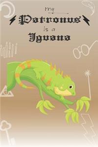 My Patronus Is A Iguana