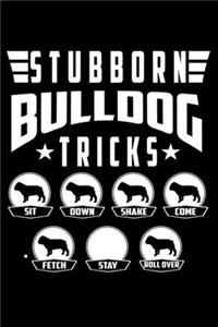 Stubborn Bulldog Tricks