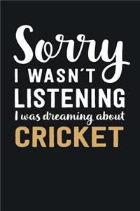 I was Dreaming about Cricket