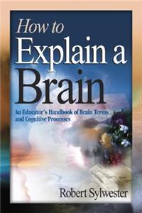 How to Explain a Brain