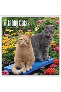 Tabby Cats 2018 Wall Calendar